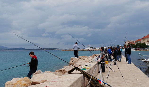 Kup grada Biograda u ribolovu