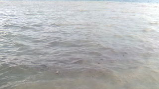 Pijavica s gradom poharala Dolaske Drage, Foto: Maria Dell’Orco Pijavica s gradom poharala Dolaske Drage, Foto: Maria Dell’Orco