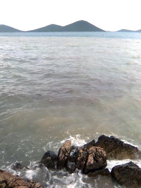 Pijavica s gradom poharala Dolaske Drage, Foto: Maria Dell’Orco Pijavica s gradom poharala Dolaske Drage, Foto: Maria Dell’Orco