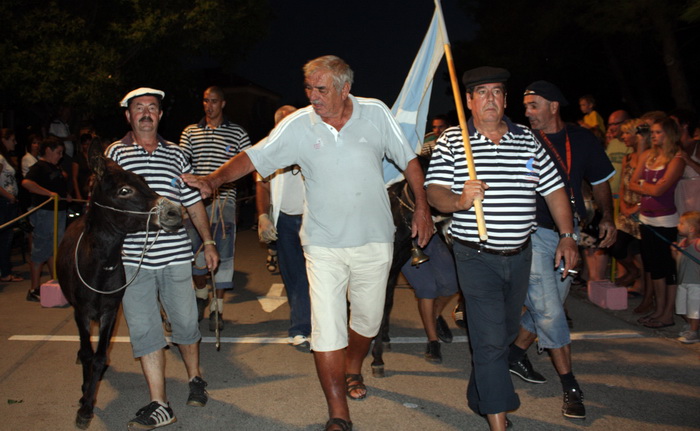 Sukosan: 40. Trka tovarov “Memorijal kenje Vijole” i 6. Noc svicarenja 8. kolovoza 2010. Sukosan: 40. Trka tovarov “Memorijal kenje Vijole” i 6. Noc svicarenja 8. kolovoza 2010.