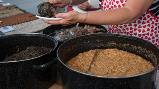 11. Gastol stol na biogradskoj rivi. Foto: Vinko Pešić 11. Gastol stol na biogradskoj rivi. Foto: Vinko Pešić