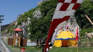 Zvonimirovi dani, Knin 28. i 29. lipnja 2008.