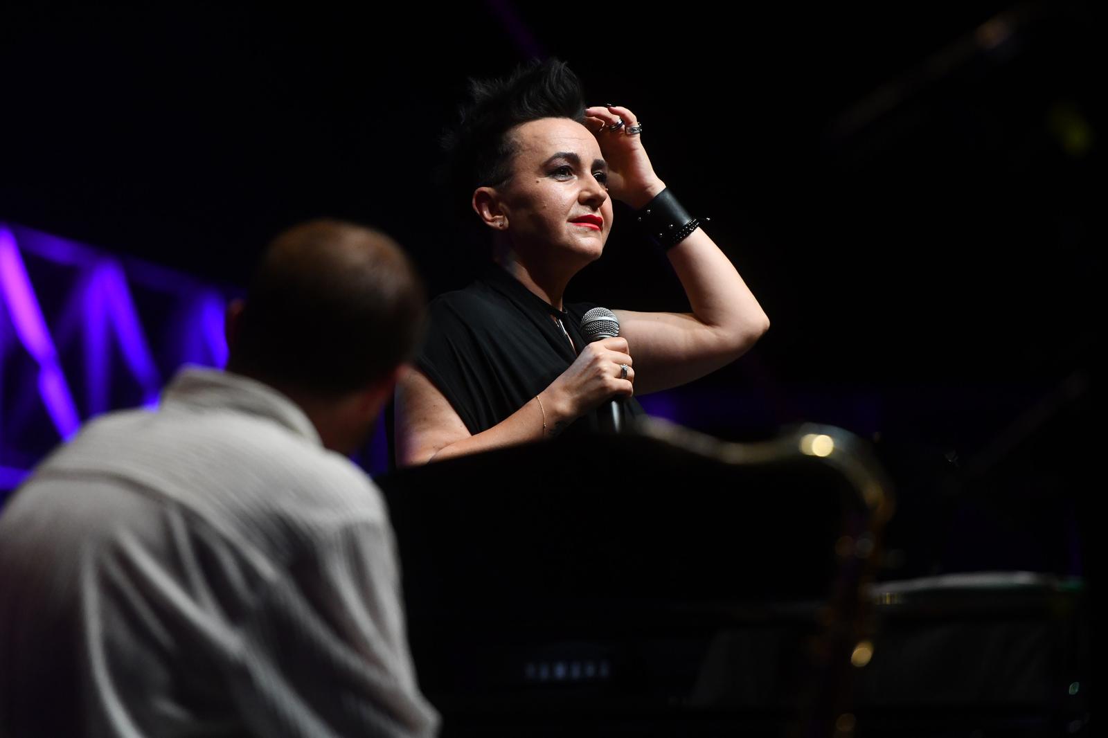 Koncert “Arsen, Čovjek kao ja” @ Tvrđava Sv. Mihovila