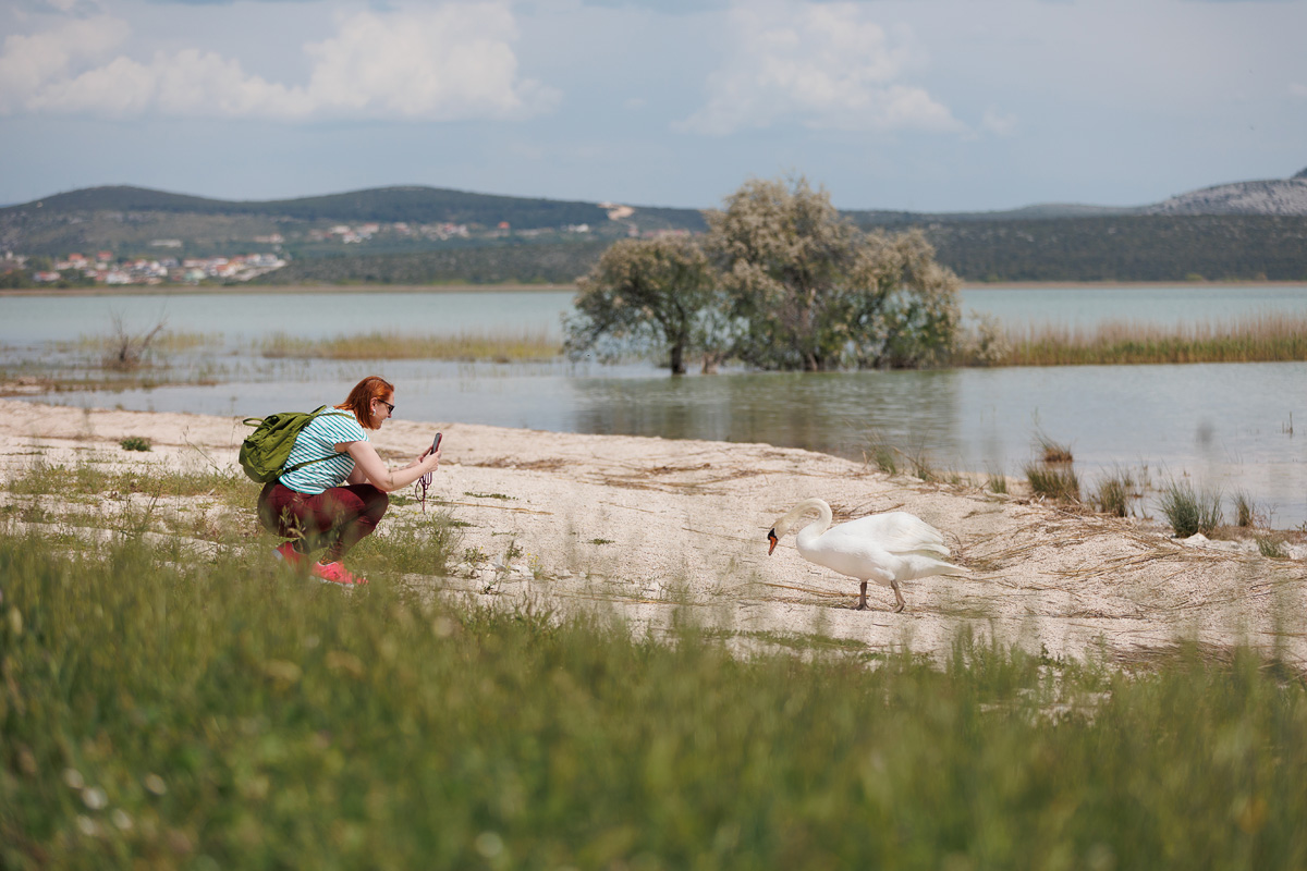 Materine užance @ kamp Crkvine, Vransko jezero Materine užance @ kamp Crkvine, Vransko jezero
