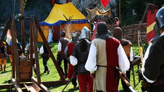 Zvonimirovi dani, Knin 28. i 29. lipnja 2008.