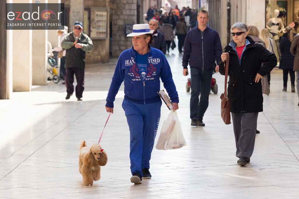 Đir po gradu 15. ožujka 2017.