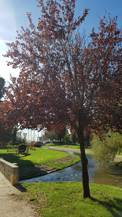 Đir po gradu 19. listopada 2016.