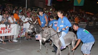 Tisno: 6. Međunarona “Trka tovarov”, Foto: Edin Kadić Tisno: 6. Međunarona “Trka tovarov”, Foto: Edin Kadić