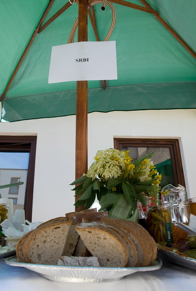 Medjunarodni dan kulturne raznolikosti, Zadar 23. svibnjaj 2009.