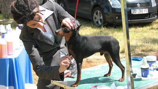 Image 1171037 (auto)