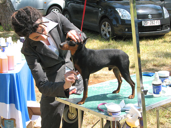 Image 1171037 (auto)