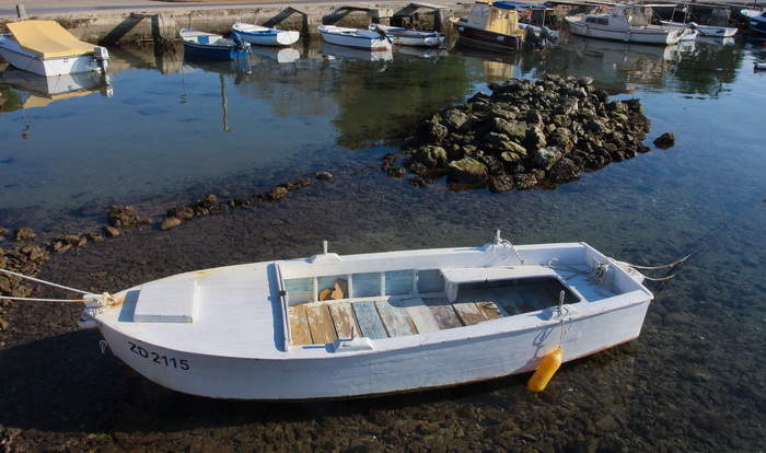 Zadar, 180112.
Velike plime i oseke, u ovom slucaju oseke, javljaju se u razdobljima punog mjeseca. Razina mora pala je za malo vise od pola metra sto i nije neki veliki problem osim sto su neke brodice ostale zarobljene u svojim lukama, a da isplove mora Zadar, 180112.
Velike plime i oseke, u ovom slucaju oseke, javljaju se u razdobljima punog mjeseca. Razina mora pala je za malo vise od pola metra sto i nije neki veliki problem osim sto su neke brodice ostale zarobljene u svojim lukama, a da isplove mora