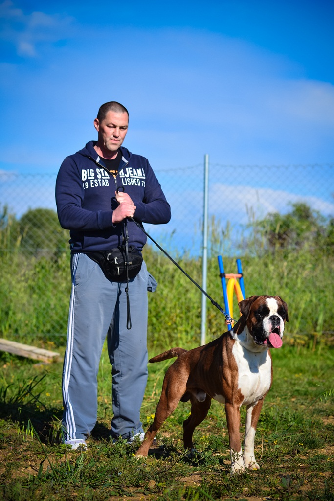 Kinološka udruga Malinois