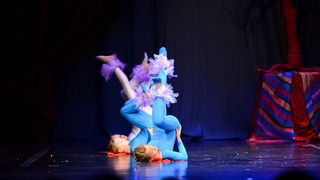 Circo Art u HNK Zadar izveo predstavu “Povratak u prirodu”