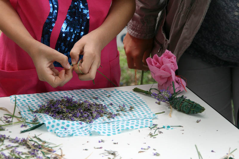 Danas je održana kreativna radionica za velike i male u organizaciji Dječjeg odjela Gradske knjižnice Zadar: izrada stručaka i jastučića od lavande od 10-12 h. Radionicu je vodila gospođa Jadranka Plantak. Foto by Lucija Juravic Danas je održana kreativna radionica za velike i male u organizaciji Dječjeg odjela Gradske knjižnice Zadar: izrada stručaka i jastučića od lavande od 10-12 h. Radionicu je vodila gospođa Jadranka Plantak. Foto by Lucija Juravic