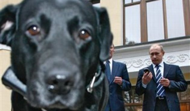 Putinova labradorica Koni (Foto: AP)