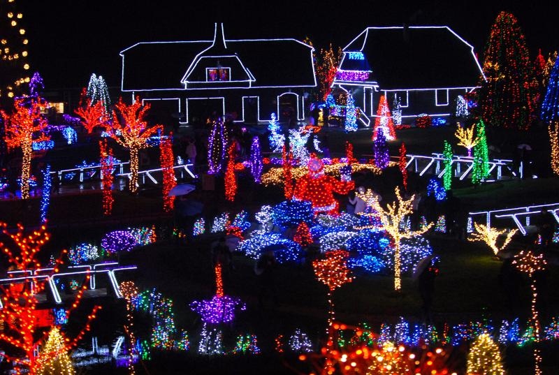 Božićna priča obitelji Salaj u Grabovnici, Photo: Damir Špehar/PIXSEL