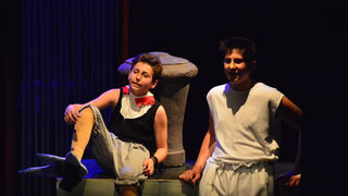 Premijera predstave Ružno pače u izvedbi radionice Donatolina