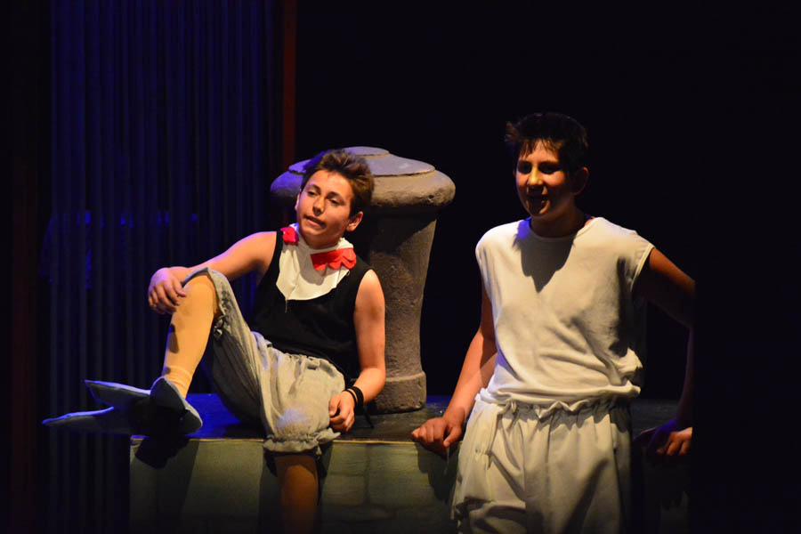 Premijera predstave Ružno pače u izvedbi radionice Donatolina