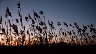 Prekrasan siječanjski suton na Vranskom jezeru. Foto: Vinko Pešić Prekrasan siječanjski suton na Vranskom jezeru. Foto: Vinko Pešić