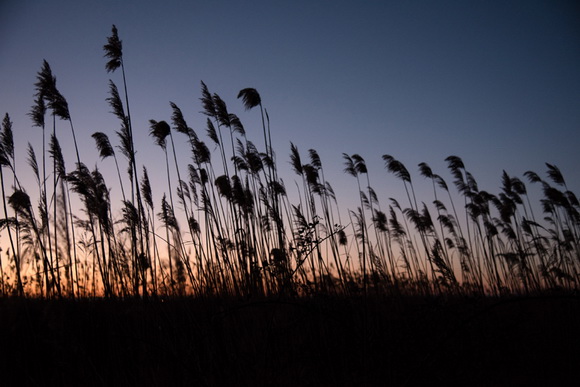 Prekrasan siječanjski suton na Vranskom jezeru. Foto: Vinko Pešić Prekrasan siječanjski suton na Vranskom jezeru. Foto: Vinko Pešić