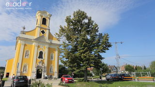 Bibinjci gradišćanskim Hrvatima darovali 1.82 metara visok kip sv. Roka Bibinjci gradišćanskim Hrvatima darovali 1.82 metara visok kip sv. Roka