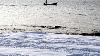 Zadar, 050212.
Zadarska snjezna prica traje vec treci dan. Zadar je i dalje prekriven bijelim pokrivacem, a gradjani nemaju vecih problema.
Na slici: detalj iz Zadra.
Foto: Jure Miskovic / CROPIX Zadar, 050212.
Zadarska snjezna prica traje vec treci dan. Zadar je i dalje prekriven bijelim pokrivacem, a gradjani nemaju vecih problema.
Na slici: detalj iz Zadra.
Foto: Jure Miskovic / CROPIX