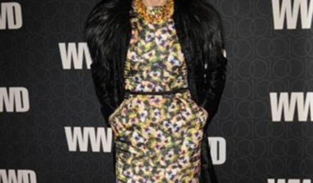 Anne Wintour ( foto Pixsell)