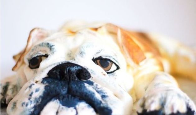 Izrađuju torte u obliku pasa, ali po cijeni vrtoglavih 2800 kuna, foto: Screenshot/cakedoggydog.com