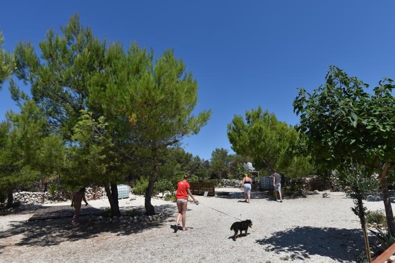 Vir: Požar u Lozicama u potpunosti ugašen Vir: Požar u Lozicama u potpunosti ugašen