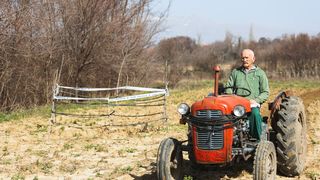 Rupa u Islamu Grčkom Rupa u Islamu Grčkom