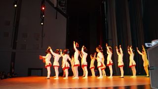 Plesno kazalisna udruga Zalet