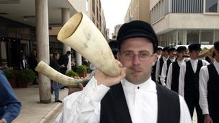 Eko dani 2009: Eko grafiti i Zagrlimo poluotok (Foto: Sasa Cuka)