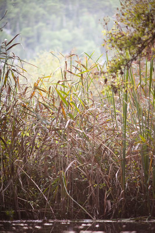 Izlet u NP Krka: Skradin, Skradinski buk, Visovac, foto: Darko Belančić