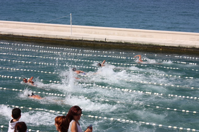 Plivacki miting “Zadar 2008.”