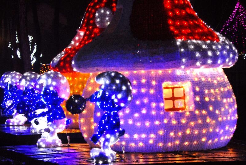 Božićna priča obitelji Salaj u Grabovnici, Photo: Damir Špehar/PIXSEL