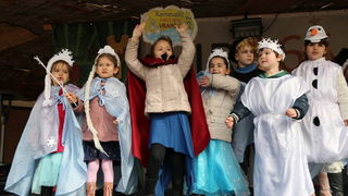 Virski karnevalić 2016. Virski karnevalić 2016.