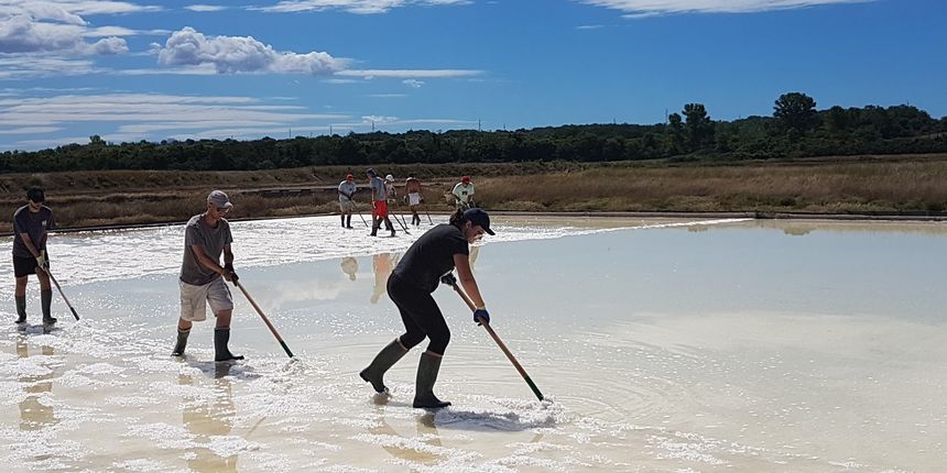 Task force u Ninu Task force u Ninu