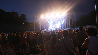 Seal u Zadru 14. srpnja 2010. (foto:Saša Čuka)