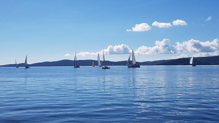 Zadarska Koka 2016. 22. listopada 2016. Foto: Mladen Malik Zadarska Koka 2016. 22. listopada 2016. Foto: Mladen Malik