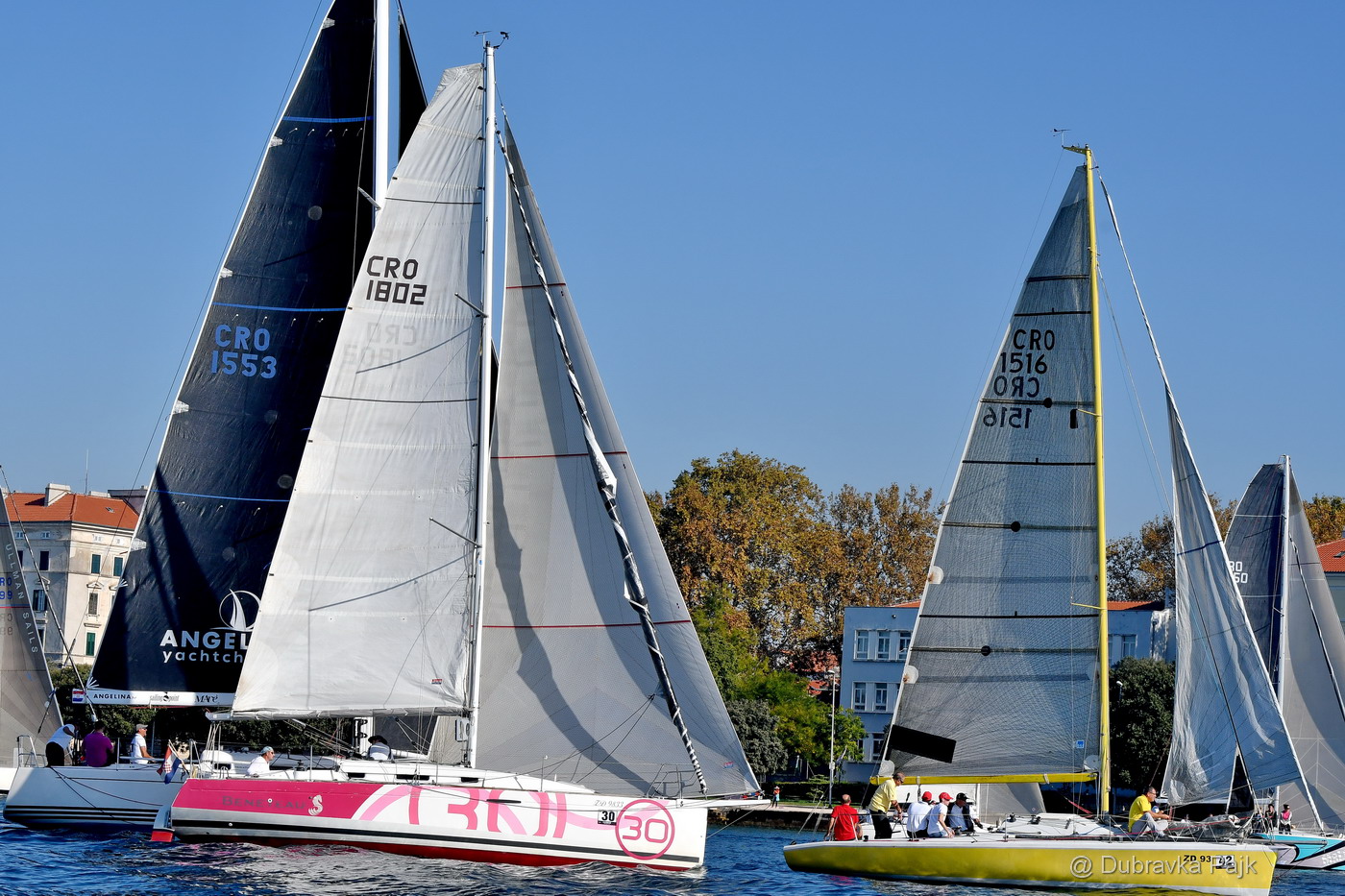 Sva lica “Zadarske koke” Sva lica “Zadarske koke”