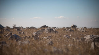 Izlet u Libinje, foto: Darko Belančić