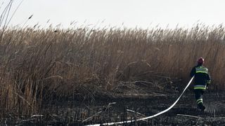 Požar u ornitološkom rezervatu Parka prirodeP Vransko jezero Požar u ornitološkom rezervatu Parka prirodeP Vransko jezero