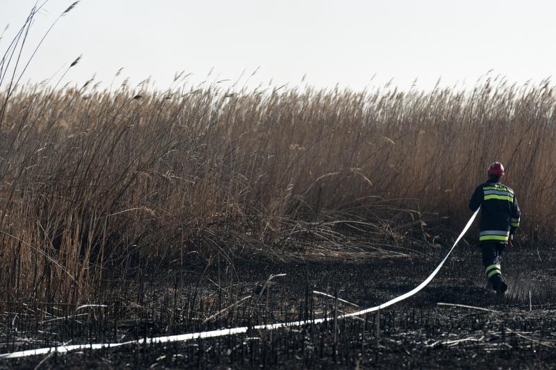 Požar u ornitološkom rezervatu Parka prirodeP Vransko jezero Požar u ornitološkom rezervatu Parka prirodeP Vransko jezero