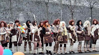 Karnevalska povorka 2012, Foto: Leonard Kvarantan Karnevalska povorka 2012, Foto: Leonard Kvarantan