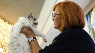 Međunarodna izložba mačaka