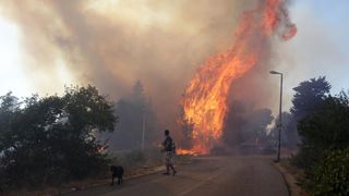 Požar na Plovaniji 11. kolovoza 2013. Foto: Željko Mršić/PIXSELL Požar na Plovaniji 11. kolovoza 2013. Foto: Željko Mršić/PIXSELL