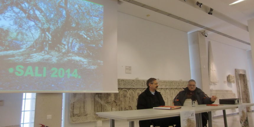 Dan masline Dan masline