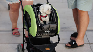 Večernji đir po gradu, 22. lipnja 2023. Večernji đir po gradu, 22. lipnja 2023.