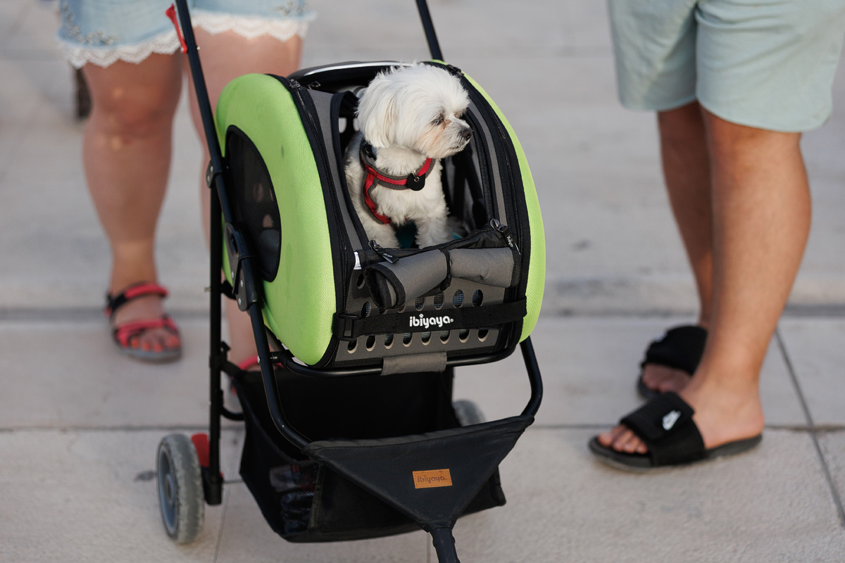 Večernji đir po gradu, 22. lipnja 2023. Večernji đir po gradu, 22. lipnja 2023.